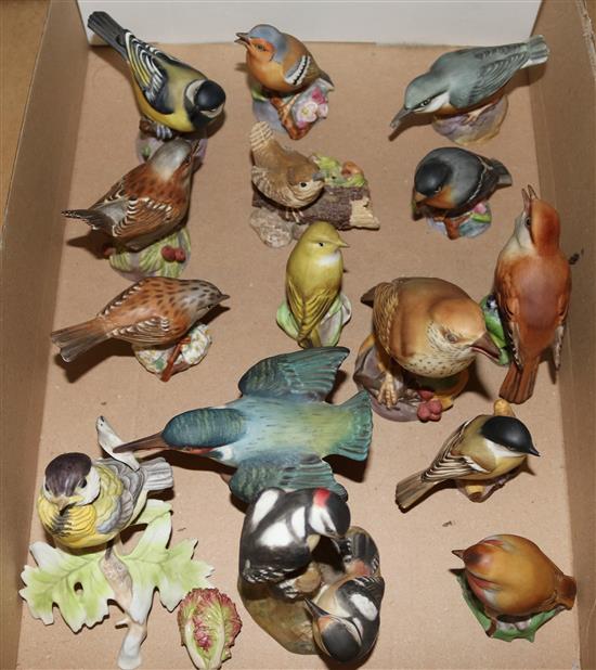 15 Royal Worcester birds(-)